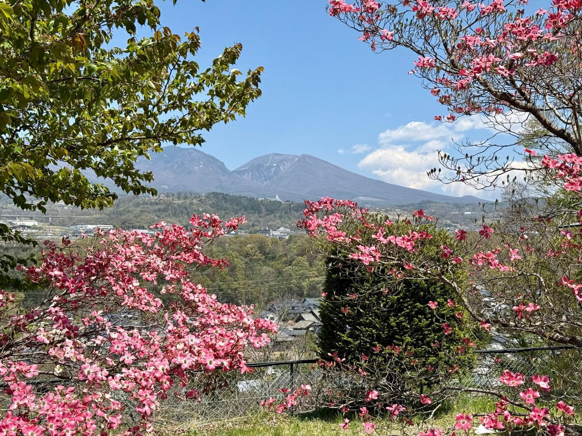 Nunohiki Onsen Komoro Exterior foto